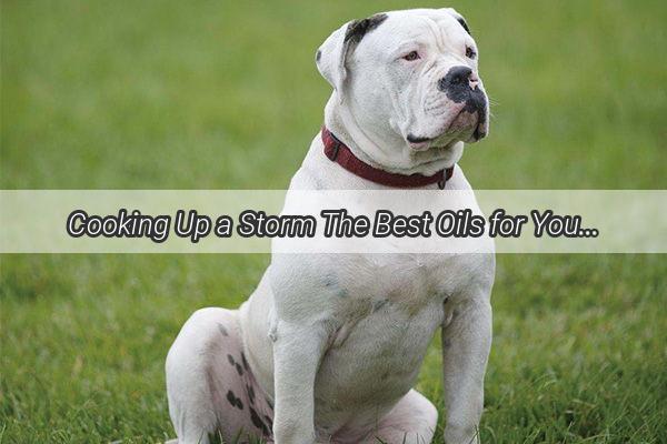 Cooking Up a Storm The Best Oils for Your Furry Friends Dinner